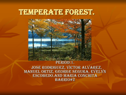 temperate forest.