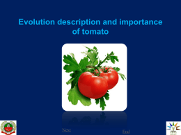 1.Evolution description and importance of tomato