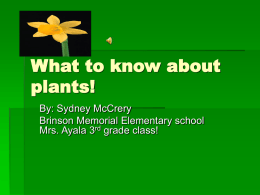 My Plant PowerPoint