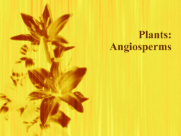 AngiospermReproductionCh20