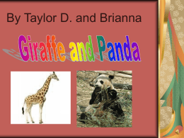 Taylor D. and Brianna S.