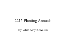 2215 Planting Annuals