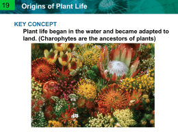 20.1 Origins of Plant Life