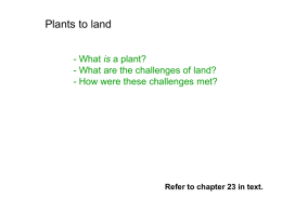 20 plants to land