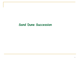 Sand dune succession