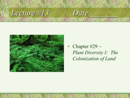 Lecture #13 Date ______