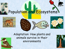 Population and Ecosystems 8 Adaptations 1
