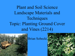 Plant and Soil Science Landscape Materials and Techniques Topic