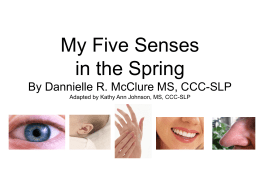 My 5 Senses in the Spring