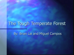 The Tough Temperate Forest