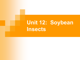 Unit 12: Soybean Insects