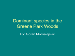 Dominant species in the Greene Park Woods