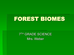forest biomes - gozips.uakron.edu
