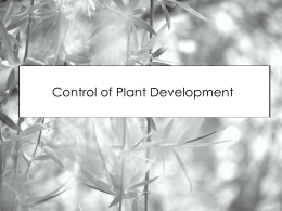 Control of Plant Development