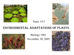 Topic 14.5 Environmental Adaptations of Plants