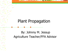 Plant Propagation - Havelock Agricultural Education