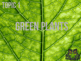 Green_Plants - Papanui High School