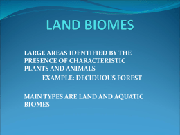 land biomes