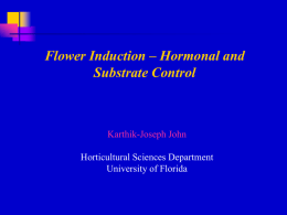 Flower Induction – Hormonal and Substrate