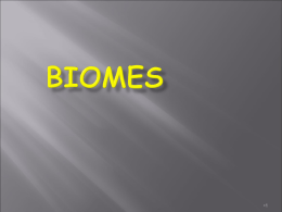 Biomes PPT