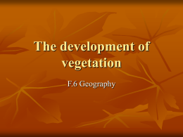 The development of vegetation