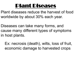 PLANT DISEASE