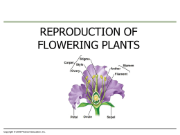 3-22-13 Flower PPT - Madison County Schools