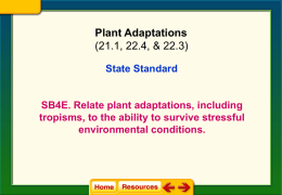 Plant Adaptation Notes