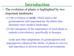 Chapter 30 Plants II