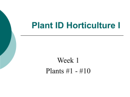 Plant Weeks - Chabot`s Horticulture I Plant ID
