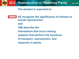 petal 22.2 Reproduction in Flowering Plants TEKS 6G, 10B