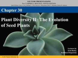 30_Plant Diversity II The Evolution of Seed Plants