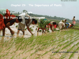 Chapter 29-The Importance of Plants