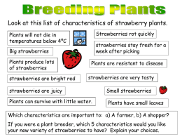 breeding_plants