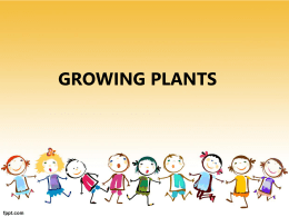 Group 1 - Growing plants