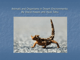 Animals and Organisms in Desert Environments: By David Hawes