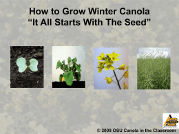 PowerPoint - Canola in the Classroom