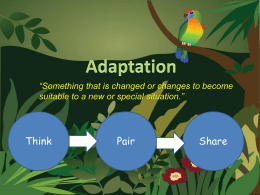 Animal_Adaptations2[1]