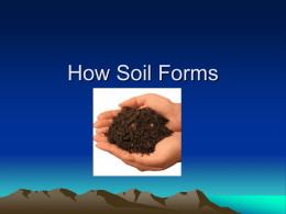 How Soil Formsppt