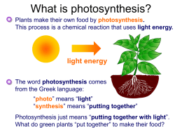 What is photosynthesis? - missdannocksyear11biologyclass
