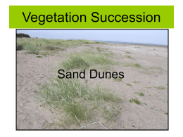 Sand Dune Succession - Clydebank High School