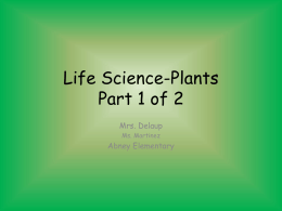 Life Science-Plants Part 1 of 2