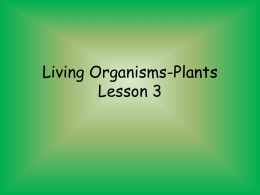 Living-Organisms-Plants-Lesson-3-power-point