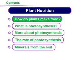 KS4 Plant Nutrition
