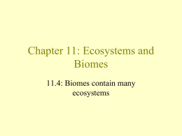 Biome - Westerly School Middle School Science
