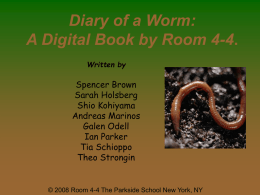 Group 4-4 Worm Book