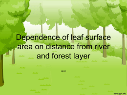 leafdata - rogers