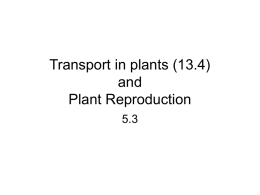 Transport in plants (13.4) and Plant Reproduction
