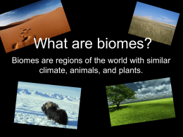Biome Power Point
