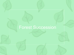 Forest Succession - CHS Science Department: Jay Mull